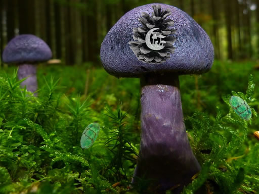 Mushroom Forest Adventure 